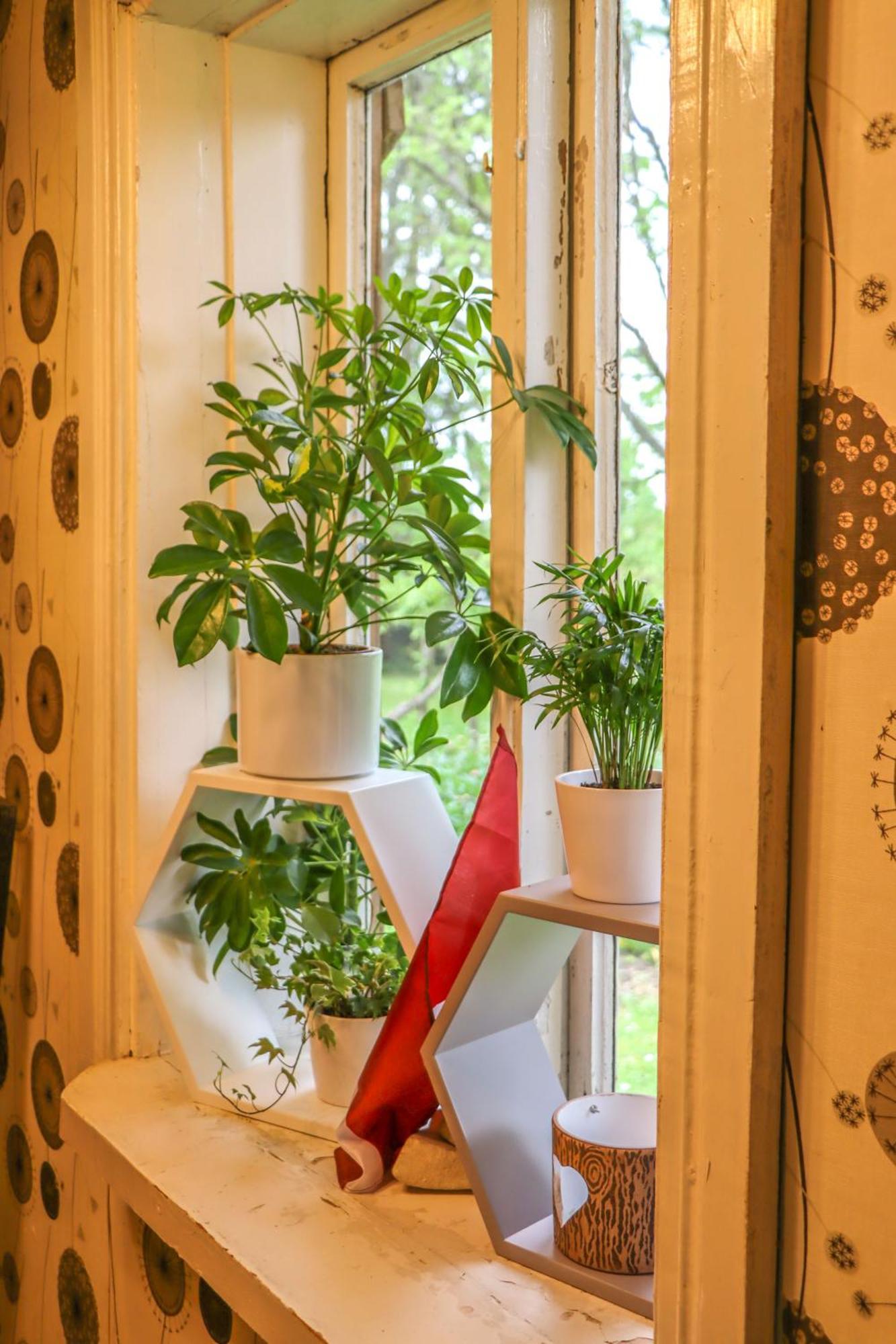 Lauku Viesu Maja Bajari Guest House Rucava Ngoại thất bức ảnh